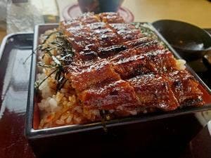 青木