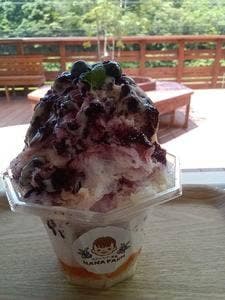ブルーベリー農園 NANA FARM