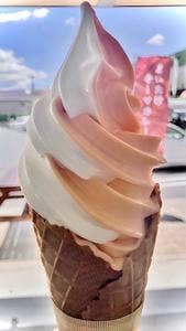 道の駅尾瀬かたしな