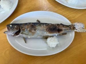 大川戸 つりぼり食堂