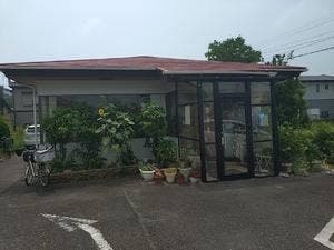 アモーレ