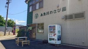 糸魚川わさび園