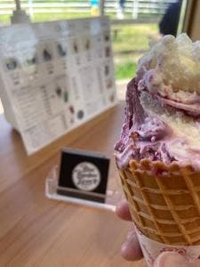 Blue Bamboo Farm Gelato JAくまがやふれあいセンター妻沼店
