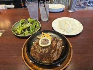 THE PUBLIC PLUM UMEDA