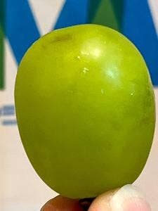 ハヤシフルーツ 東急百貨店たまプラーザ店B1東急フードショー内