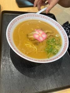 南龍軒 紀の川サービスエリア店