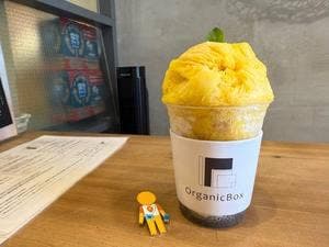 Organic Box
