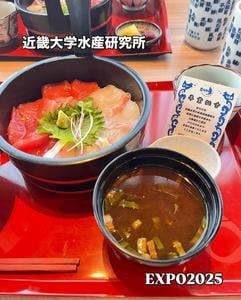 近畿大学水産研究所 大阪・関西万博 ウォータープラザ店