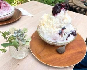 橙カフェ