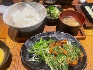 炭火焼鳥 わだち