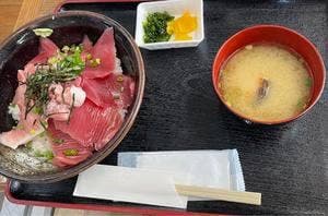 海力