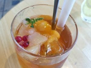 トゥーストゥース フィッシュ インザ フォレスト