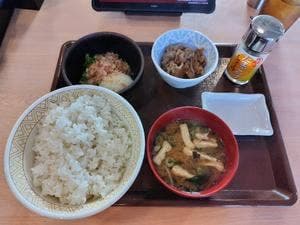 すき家 和泉はつが野店