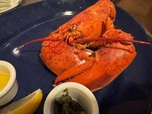 レッドロブスター 練馬関町店