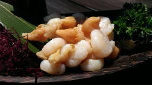 作島 茜