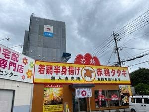 手羽先餃子たいが