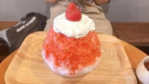 万年雪