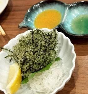 魚政ととせん