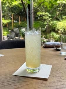 KOSA