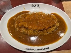 旨辛カレー専門店 白洋亭 ヨドバシAkiba