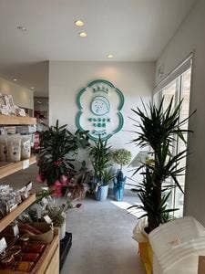 クチノトマーケット カフェ