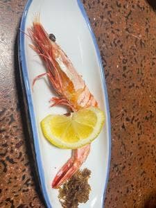 よしはる