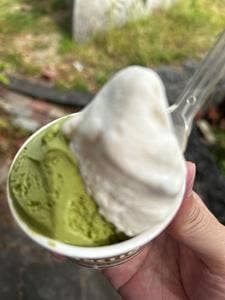 Gelateria Monction