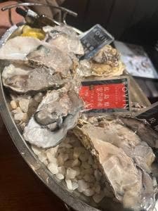 魚イタリアン＆オイスター ロビン 京橋