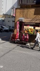 藁焼きと鯛めし 四国の酒場 本町店