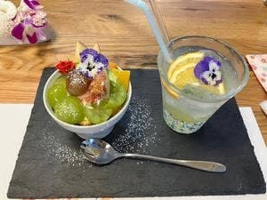 メダカフェHALUめだか