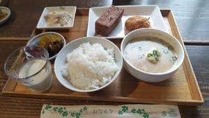 豆藤