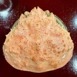 鮨なが井