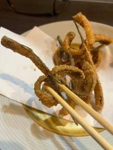 龍のかくれんぼ