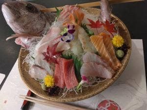 きさう