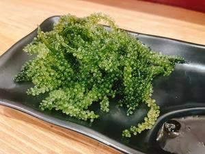 沖縄そば ちゃーがんじゅー