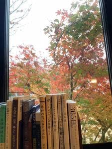 くらしの道具とカフェ 山ごぼう