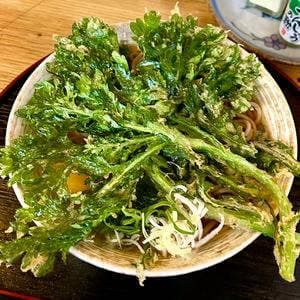 立ち喰いそば  あさだけ