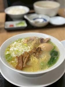 鳥めし 鳥藤 豊洲市場店