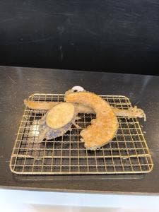 博多天ぷら たかお 中日ビル店