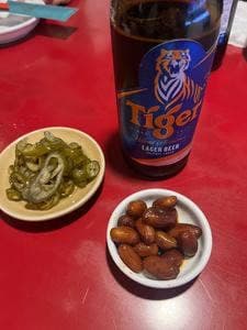 獅天鶏飯