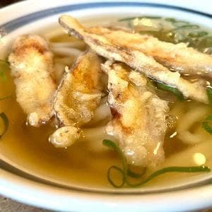 博多綱場うどん しん田
