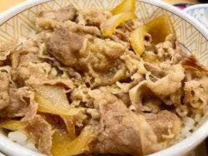 すき家 19号中津川店