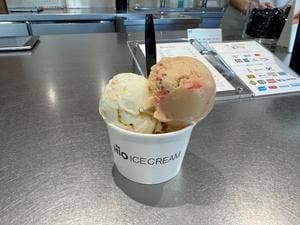 HiO ICE CREAM Atelier 自由が丘