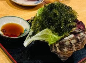 にぬふぁ星