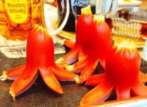 居酒屋 花ちゃん