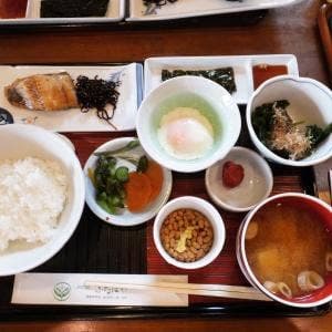 レストラン 欧州