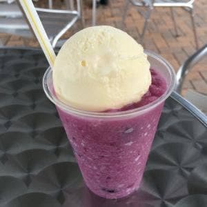 ブルーベリーの村