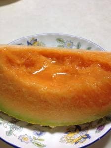 湯元白金温泉ホテル