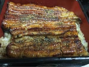 鰻 昇八