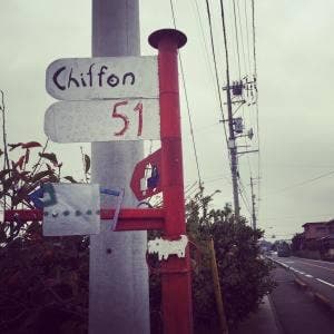 chiffon 51